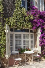 Window with climbing bougainvilleas in one of the typical alleyways, Grimaud-Village, Var,