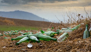 Empty glass bottles lie in the landscape, some broken, environmental pollution, AI generated, AI