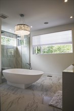 Glass shower stall with white acrylic freestanding bathtub in main bathroom with marble floor tiles