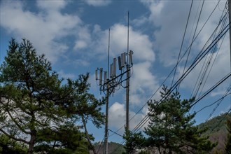 Cellphone tower between pine trees with beautiful cloudy blue sky in background in South Korea