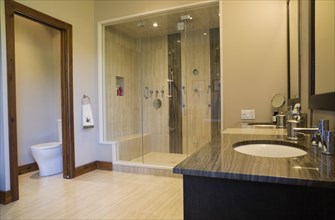 Main bathroom with double steam glass shower stall, vanity and toilet room in extension inside
