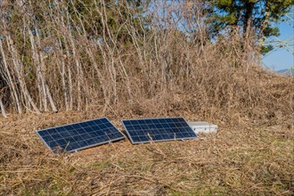 Two small ground-mounted solar panels among grass and bare trees, in South Korea