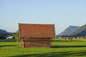 Hay barn with meadow and foothills of the Alps, Garmisch-Partenkirchen, Werdenfelser Land, Upper