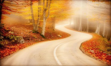 A tranquil winding road in autumn, surrounded by fog and trees with yellow leaves AI generated