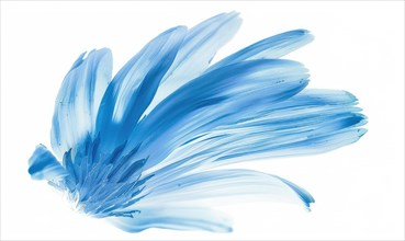 Light blue daisy flower petals on white background AI generated