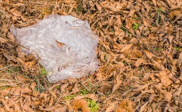 A crumpled plastic bag lies on the ground among brown leaves, indicating pollution, in South Korea