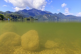 Underwater shot of lake in front of mountains, summer, sun, Lake Kochel, view of Herzogstand and