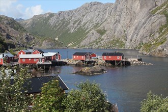 Museum village Nusfjord on the Lofoten Islands, Norway, Scandinavia, Europe
