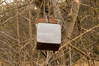 A weathered wooden birdhouse hanging from a tree branch, in South Korea