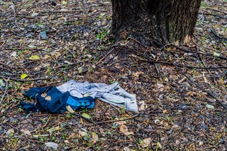 Discarded clothes on the forest ground, representing neglect and environmental littering, in South