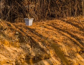 A white flower pot with dead plant sits on an eroded slope with dry grass, in South Korea
