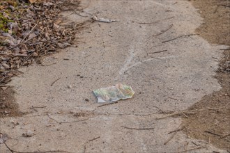 A piece of litter on a dirt path, a small but impactful environmental issue, in South Korea