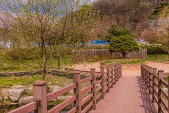 A tranquil wooden bridge leads through a park with budding trees in spring, in South Korea
