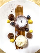 Elegant Design of a Beauty Chocolate Souffle Cake with Vanilla Ice Cream on Plate in Switzerland