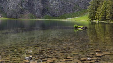 Lake, Hintersee, reflection, clear water, pinzgau