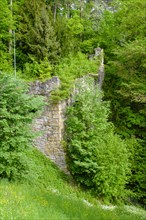 Gleiss castle ruins, Gleiss, Sonntagberg, Eisenwurzen, Lower Austria, Austria, Europe