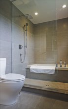 White porcelain toilet and bathtub in glass shower stall in guest bathroom with grey ceramic tile