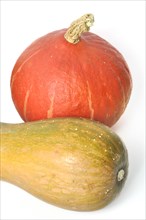Squash on a white background