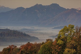Trees with autumn colours in front of mountains, fog, soft morning light, view of Ettaler Mandl and