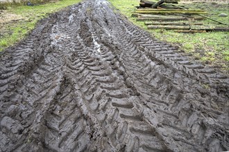 Tractor tyre tracks in softened soil on a farm, Mecklenburg-Vorpommern, Germany, Europe