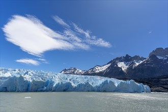 Glacier, floating ice, Lago Grey, Torres del Paine National Park, Parque Nacional Torres del Paine,
