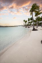 Caribbean dream beach with palm trees, white sandy beach and turquoise-coloured, crystal-clear