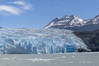 Glacier, Lago Grey, floating ice, Torres del Paine National Park, Parque Nacional Torres del Paine,
