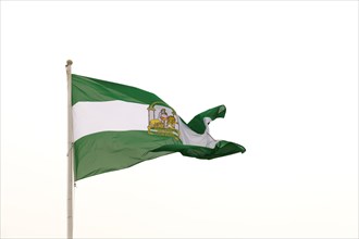 The green and white Andalusian flag, featuring the emblem of Hercules and two lions, is captured as