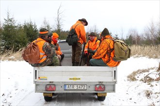 Wild boar (Sus scrofa) hunter in warning clothing on a trailer in the snow, Allgaeu, Bavaria,