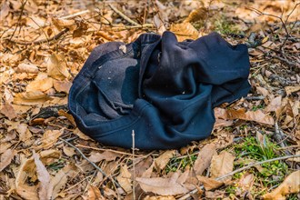 A discarded black cloth tangled among fallen leaves in a forest, in South Korea