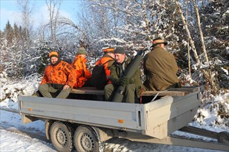 Wild boar (Sus scrofa) in the snow, start of the hunt, hunters in high-visibility waistcoats on
