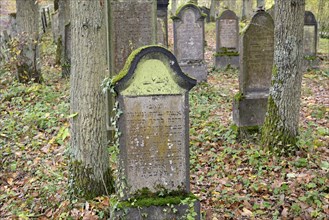 Jewish cemetery, weathered gravestones, wine village Beilstein, Moselle, Rhineland-Palatinate,