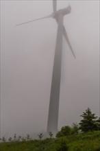 Large electric wind turbine in countryside hidden by heavy morning fog in Gangneung, South Korea,