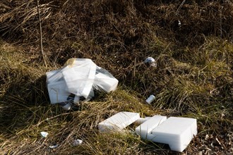 Discarded polystyrene containers scattered in a field showcasing environmental neglect, in South