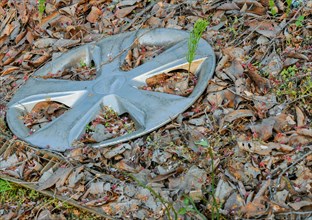 An abandoned car hubcap amidst fallen leaves and forest debris, indicating pollution, in South