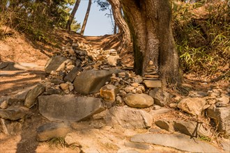 A rugged hiking trail with large rocks and tree roots on a steep forest incline, in South Korea