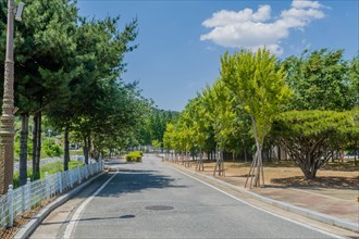 Single lane paved road leading to parking lot at park in Iksan, South Korea, Asia