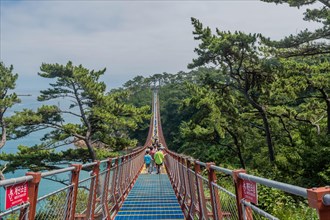 Tourists exploring a scenic suspension bridge amid coastal greenery on a sunny day, in Ulsan, South