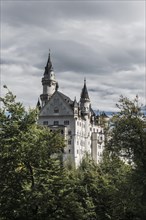 Neuschwanstein Castle, near Fuessen, Ostallgaeu, Allgaeu, Bavaria, Germany, Europe