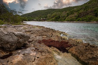 Rocky coast, long bay by the sea at sunset. Dangerous view of the Caribbean Sea. Tropical climate