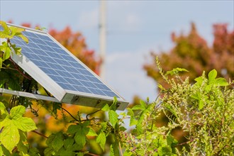 Closeup of small solar panel attached to metal support frame surrounded by green foliage with