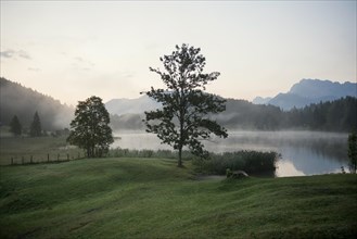 Sunrise and morning fog, Geroldsee or Wagenbruechsee, Kruen near Mittenwald, Werdenfelser Land,
