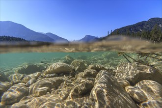 Underwater shot of river in front of mountains, summer, sun, Isar, Vorderriss, Toelzer Land,