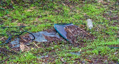 A scene of environmental pollution with a shoe, bottle, and metal on green moss, in South Korea