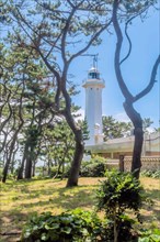 A white lighthouse stands tall amidst green foliage against a bright blue sky, in Ulsan, South