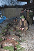 Wild boar (Sus scrofa) end of the hunt, hunter, shooting king with 7 killed sows, tradition,