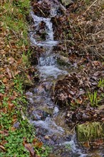 Small stream in early spring, Germany, Europe