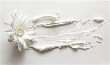 White paint brush stroke and white daisy flower on while background AI generated