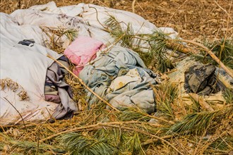 Discarded clothing and trash pollute the natural pine-covered ground, in South Korea