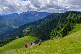 Hiker on the Rosskopf, Rosskopf, Spitzingsee area, Bavarian local mountains, Alps, Upper Bavaria,